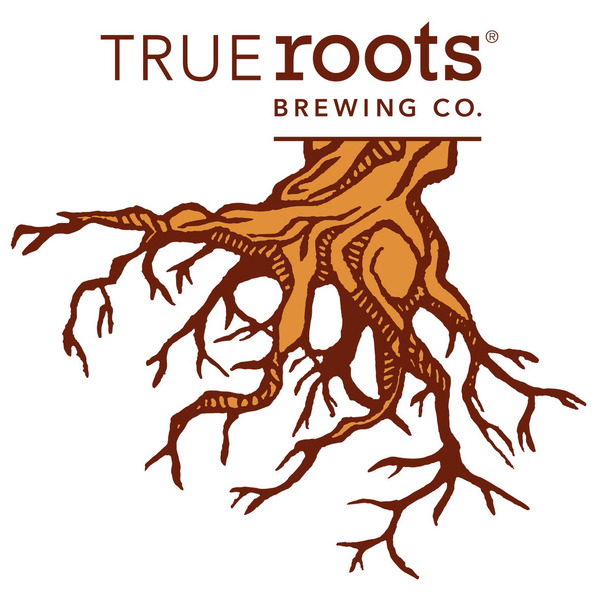 Natural Ginger Beer – TrueRoots Brewing Company